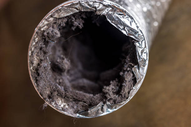 Best Affordable HVAC Duct Cleaning  in Brookville, IN